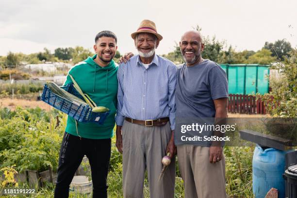 family allotment - great grandfather stock pictures, royalty-free photos & images