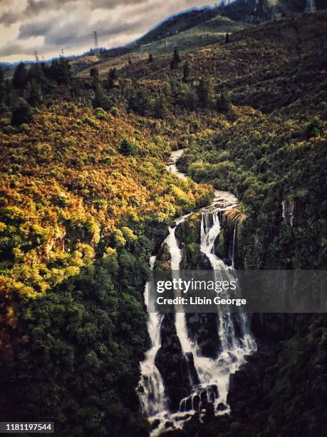 waipunga waterfalls new zealand - hawkes bay region fotografías e imágenes de stock