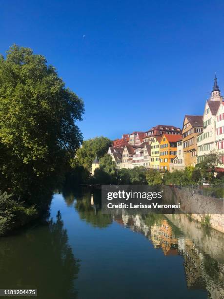 germany, tübingen, neckarfront in the summer - tübingen stock pictures, royalty-free photos & images