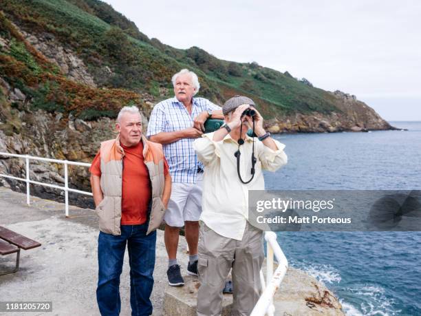 friends enjoy seaside view - jersey channel islands stock pictures, royalty-free photos & images