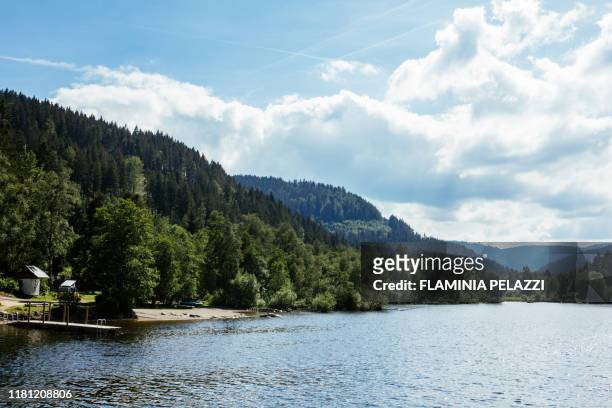 germany, llake titisee , black forest,baden-württemberg - württemberg stock pictures, royalty-free photos & images