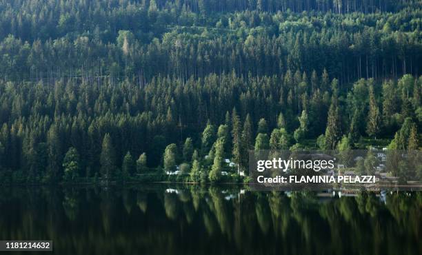 germany, lake titisee ,black forest, baden-württemberg - baden baden stockfoto's en -beelden