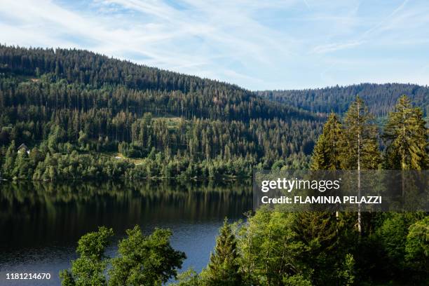 germany, lake titisee ,black forest, baden-württemberg - württemberg stock pictures, royalty-free photos & images