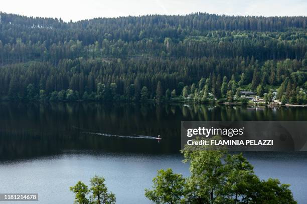 germany, lake titisee ,black forest, baden-württemberg - württemberg stock pictures, royalty-free photos & images