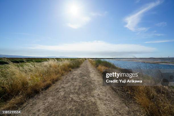 road leading to the sky - santa clara county california imagens e fotografias de stock