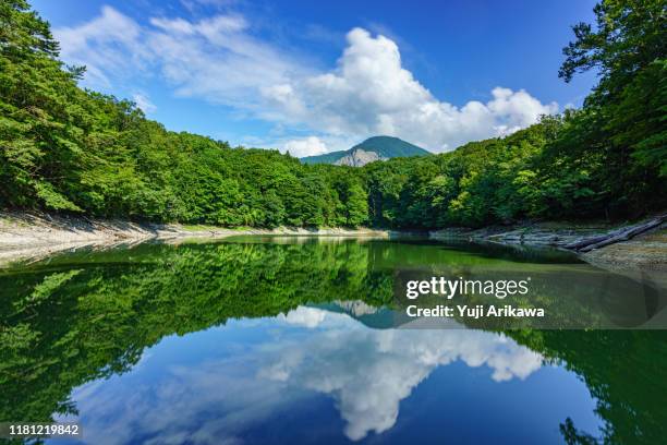 green forest reflected in the pond - 郊外 ストックフォトと画像