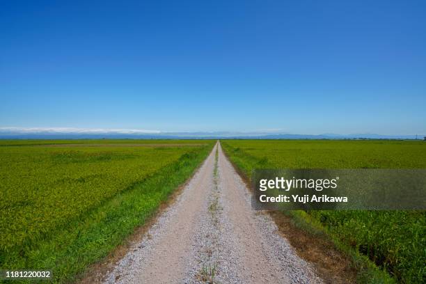 road leading to the sky - horizon over land 個照片及圖片檔