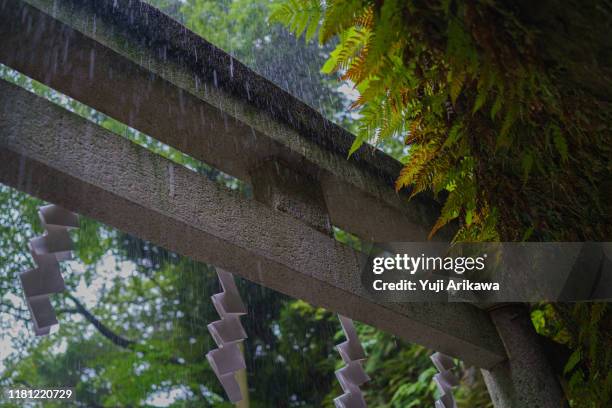 rain falling on torii - shintoismus stock-fotos und bilder