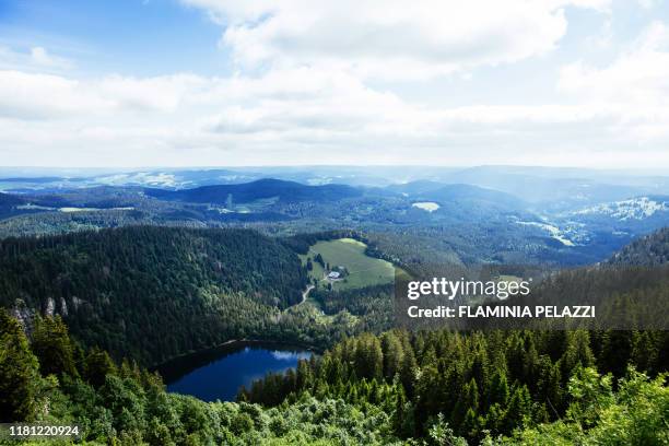 germany , black forest, baden-württemberg, mont feldberg - schwarzwald foto e immagini stock