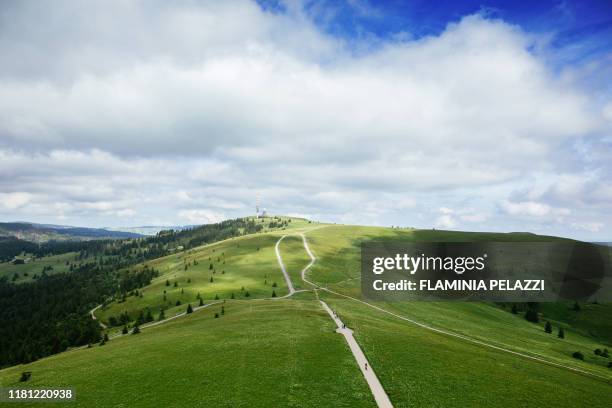 germany , black forest, baden-württemberg, mont feldberg - baden baden stockfoto's en -beelden