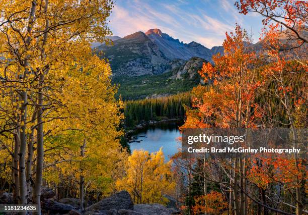 longs peak bear lake autumn - aspen trees stock-fotos und bilder