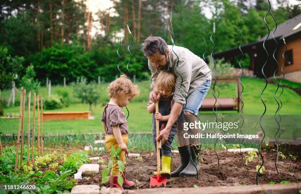 a portrait of mature father with small children outdoors gardening. - family in garden imagens e fotografias de stock
