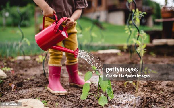 a midsection of portrait of cute small child outdoors gardening. - water garden stockfoto's en -beelden