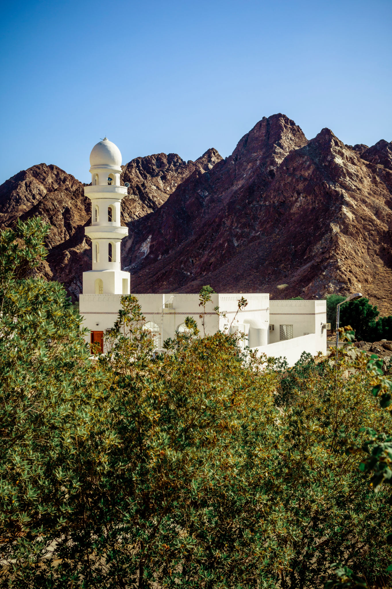 oman authors