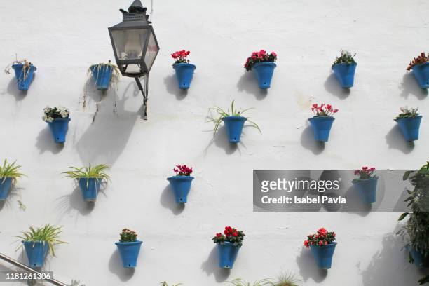 flower pots on white wall, cordoba, spain - cordoba spain stock pictures, royalty-free photos & images