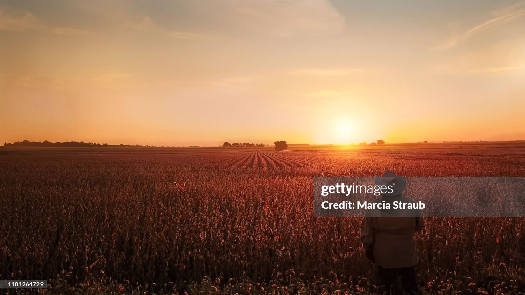 Woman Watching Golden Autumn Sunrise at Farm Field