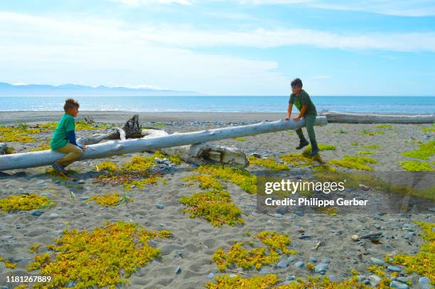 young boys playing on the beach in alaska - homer stock-fotos und bilder