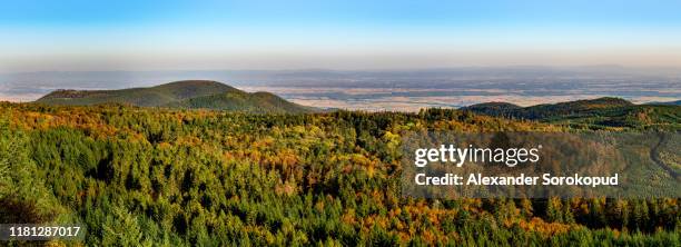 aerial drone panoramic view of autumnal mountains in alsace. france. - scène non urbaine photos et images de collection