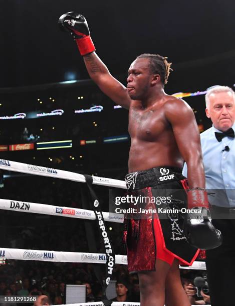 Reacts after it was announced he defeated Logan Paul in their pro debut fight at Staples Center on November 9, 2019 in Los Angeles, California. KSI...