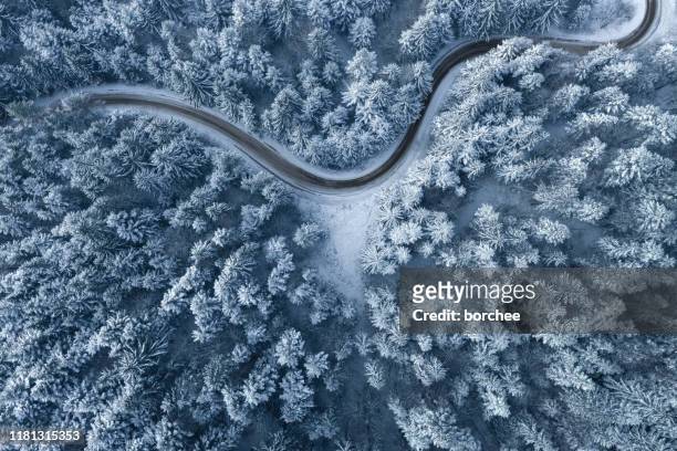 straße, die durch den winterwald führt - schnee stock-fotos und bilder