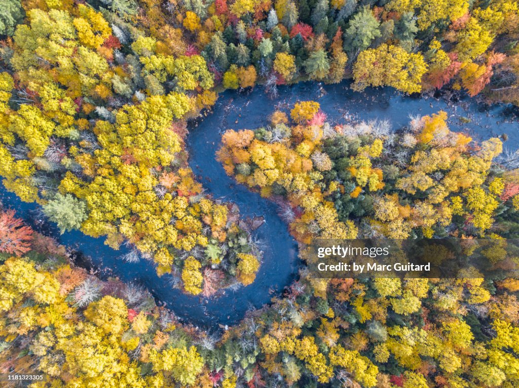 A stream winds its way through vibrant fall foliage, Bathurst, New Brunswick, Canada