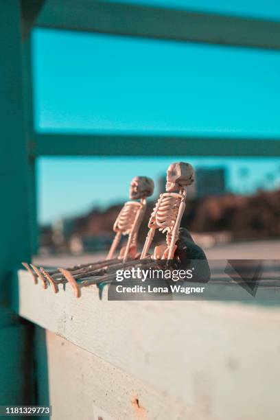 skeleton friends on lifeguard tower - funny skeleton stockfoto's en -beelden