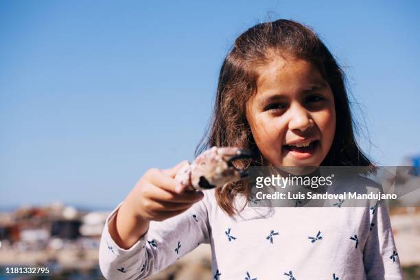 little girl with a crab claw - positivism stockfoto's en -beelden