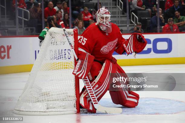 Jimmy Howard of the Detroit Red Wings skates against the Anaheim Ducks at Little Caesars Arena on October 08, 2019 in Detroit, Michigan.