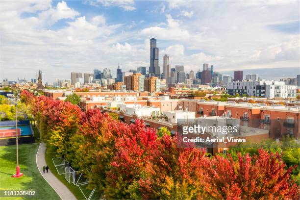 fall colors in chicago - aerial view - chicago illinois landscape stock pictures, royalty-free photos & images