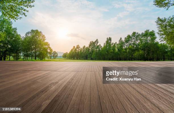 empty wooden floor in the forest - wooden floor stockfoto's en -beelden