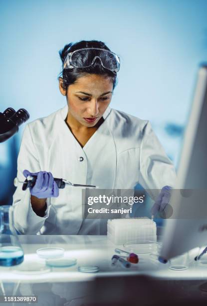 jonge wetenschapper werkzaam in het laboratorium - indian education health science and technology stockfoto's en -beelden