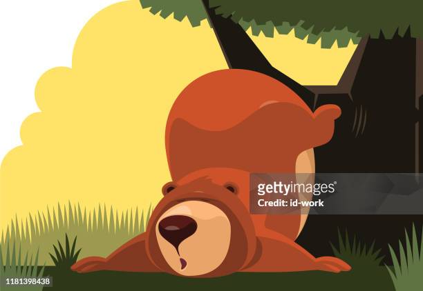 lazy bear leaning on tree - bear lying down stock illustrations