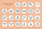 Large set of linear vector icons of human organs with signatures