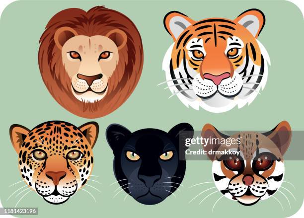 stockillustraties, clipart, cartoons en iconen met felines gezicht - leopard face