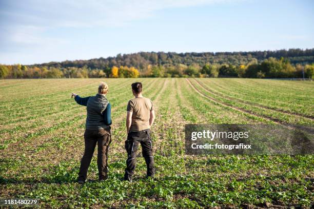 twee boeren die een kijkje nemen bij de koolzaad zaailingen voor een agrarisch veld - woman front and back stockfoto's en -beelden