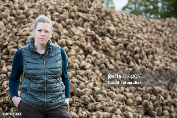 portret van een vrouwelijke boer voor een grote stapel suikerbieten - suikerbiet stockfoto's en -beelden