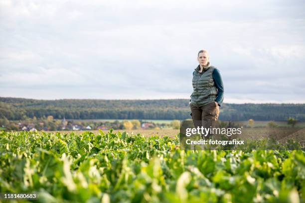 portret: vrouwelijke boer staat op landbouwgebied met suikerbieten - suikerbieten stockfoto's en -beelden