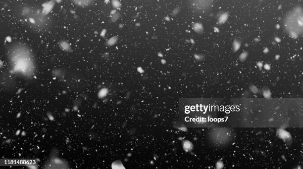 ilustraciones, imágenes clip art, dibujos animados e iconos de stock de falling snowflakes in the night - negro