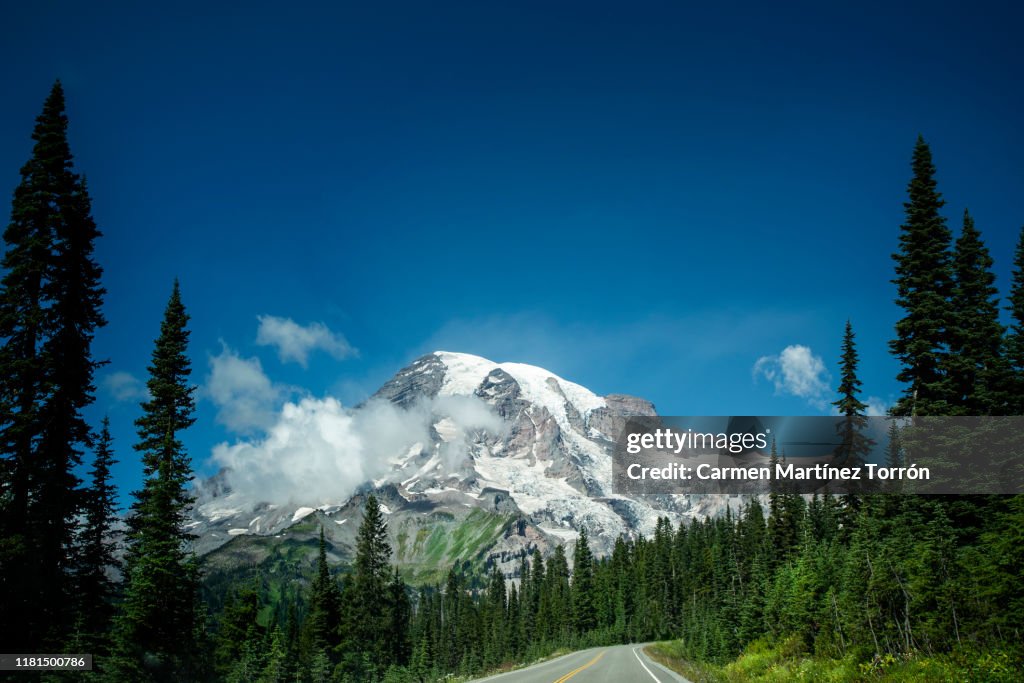 Mount Rainer Driving Driving Car Mount Rainier National Park Road Washington State 2019 Usa ...