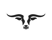 Texas longhorn bull.  Isolated bull head on white background
