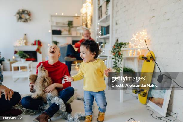 christmas in our home - multi generational family with pet stock pictures, royalty-free photos & images