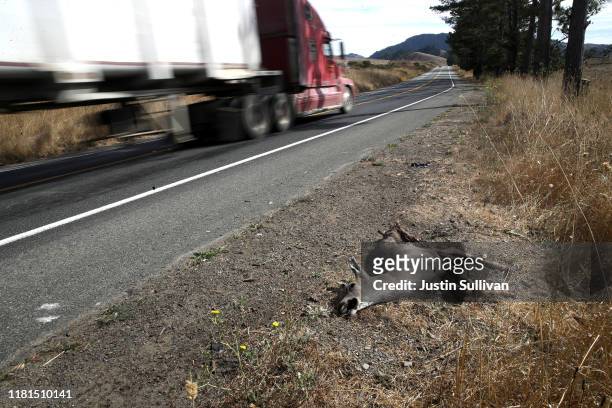 Dead deer lays on the side of the road on October 16, 2019 in Nicasio, California. California Gov. Gavin Newsom signed senate bill 395 into law that...