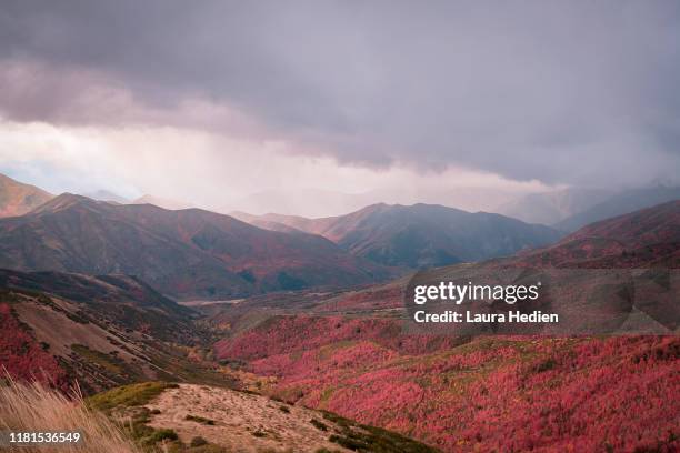 fall colors in the mountains - wasatch mountains stock pictures, royalty-free photos & images