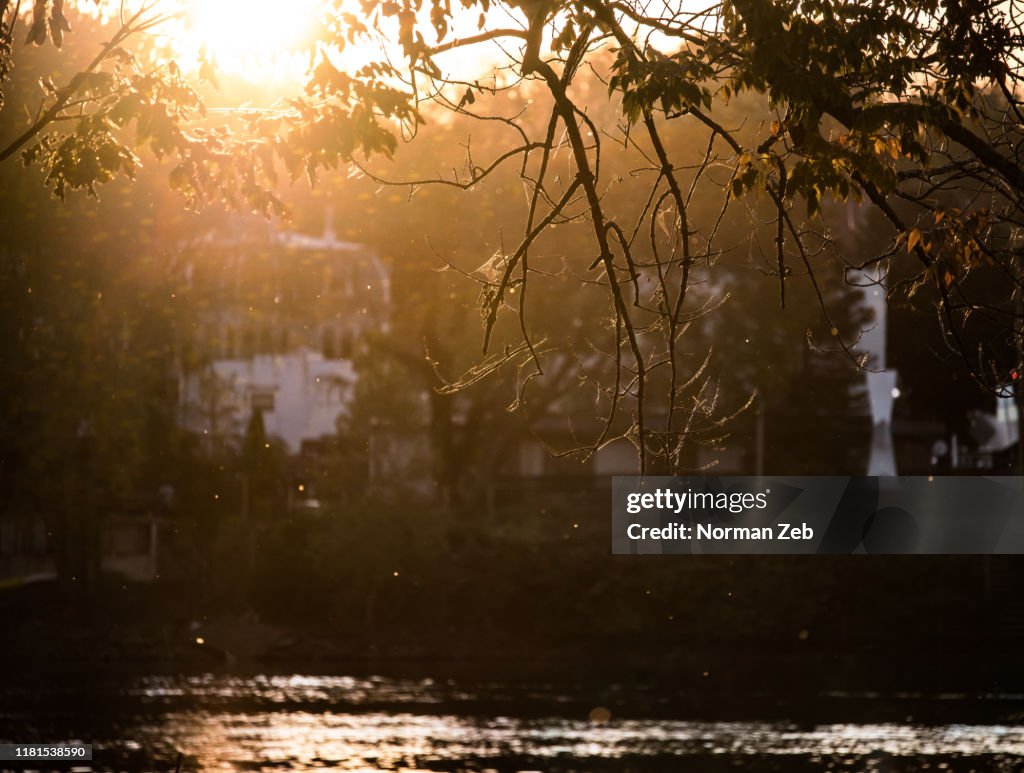 Sunset glow (1)