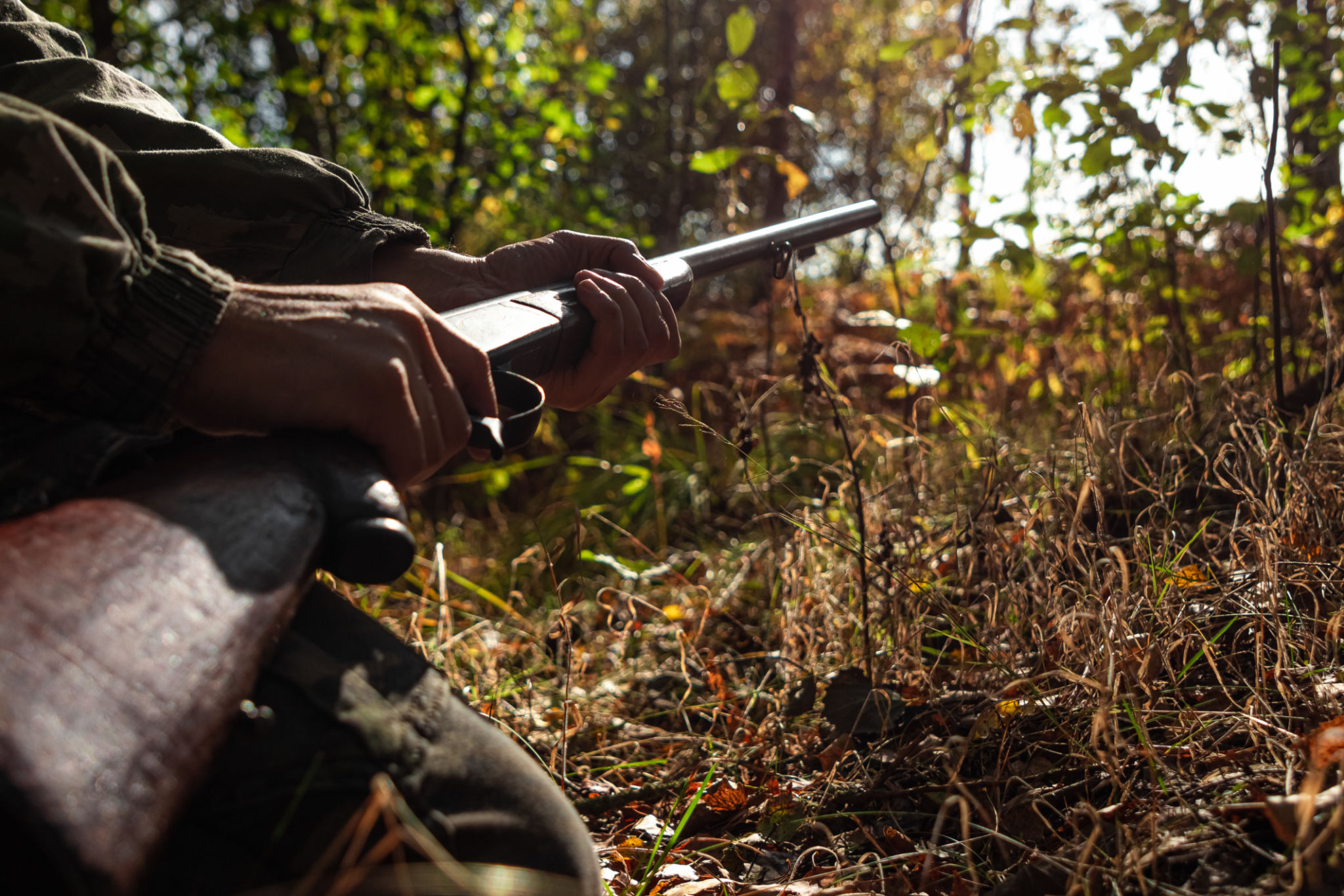 hunting license