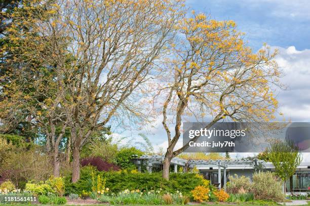 bellevue botanical garden - bellevue botanical garden stock pictures, royalty-free photos & images