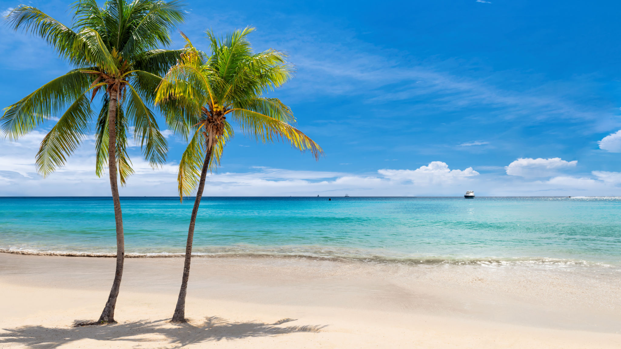 jamaica ocean