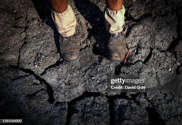 Farmer Johnnie McKeown stands in the dried-up bed of the Namoi River located on the outskirts of his drought-affected property, near the...