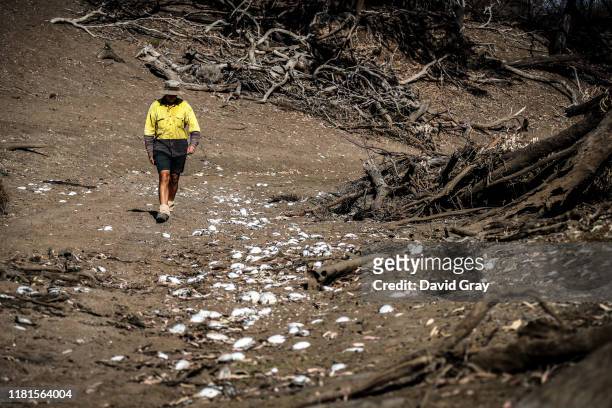Farmer Johnnie McKeown walks near the shells of dead mussels lying in the dried-up bed of the Namoi River located on the outskirts of his...