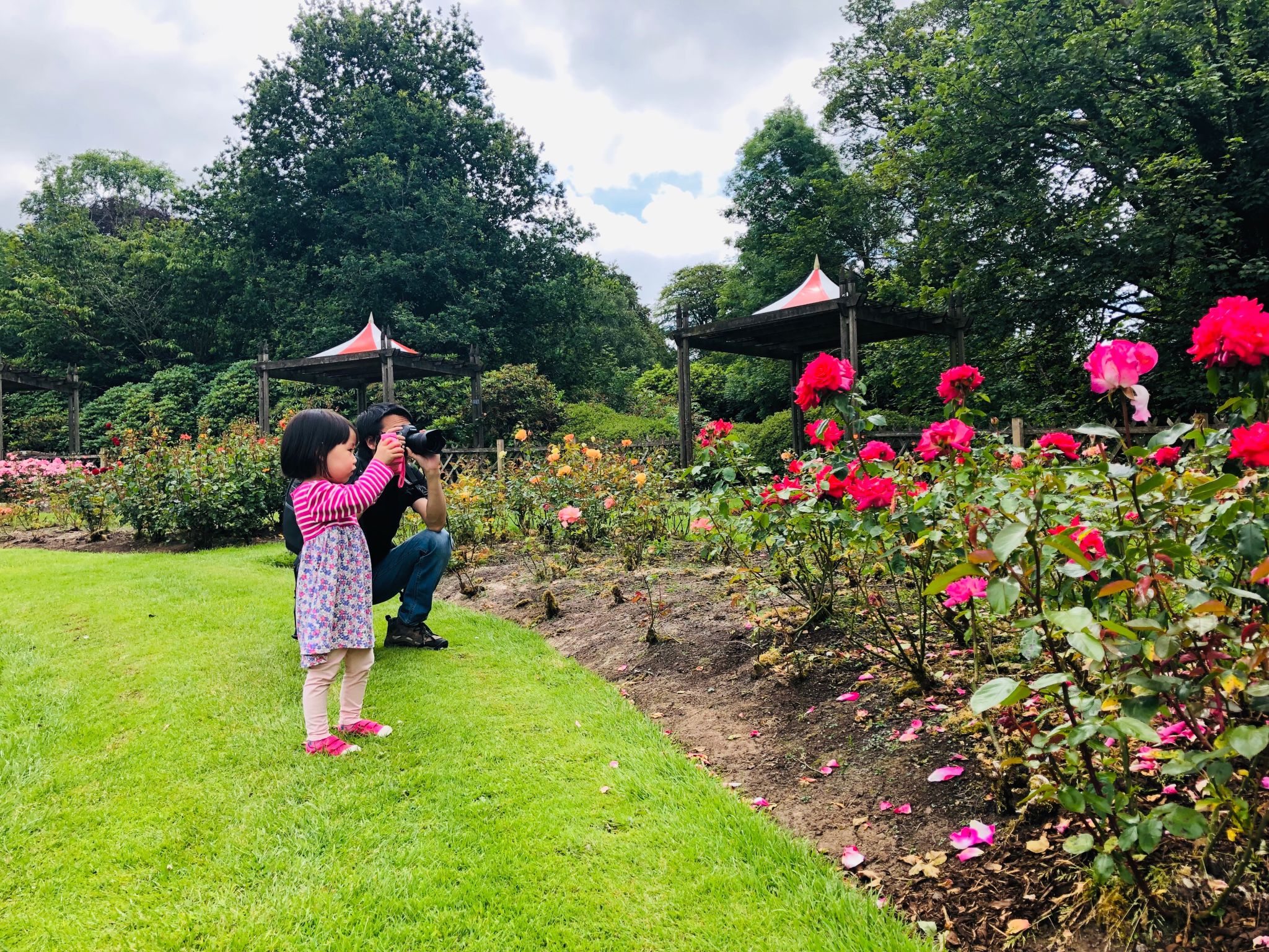 Father And Daughter Photographing Flowers At Park Father And Daughter Photographing Flowers At Park